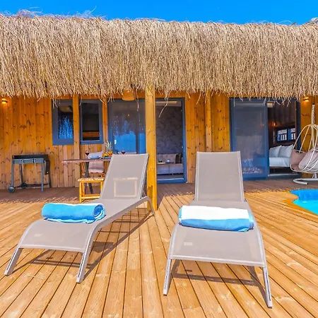 Lamazi Tiny House Vilă